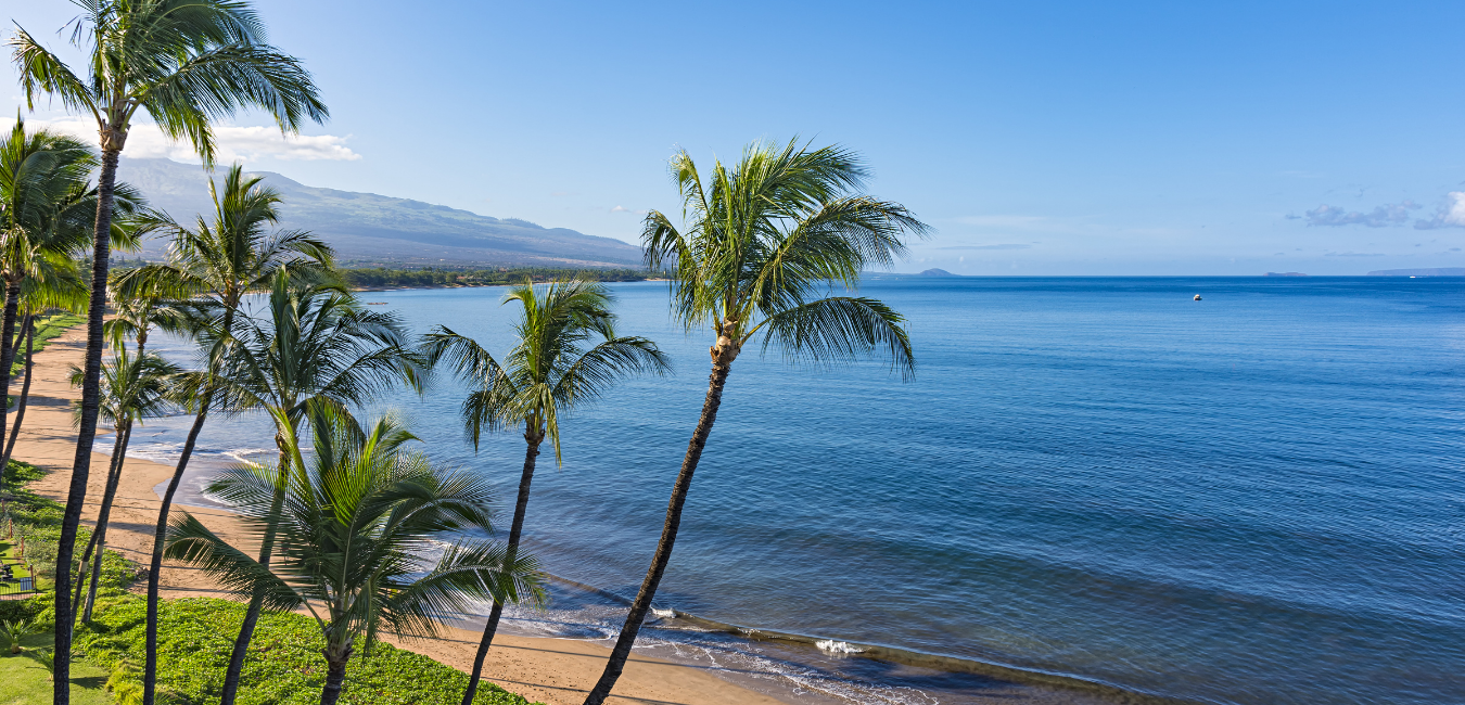 The Ultimate Guide to your Honeymoon in Maui