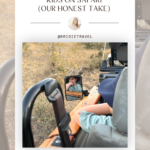 Safari game drive in south africa for kids