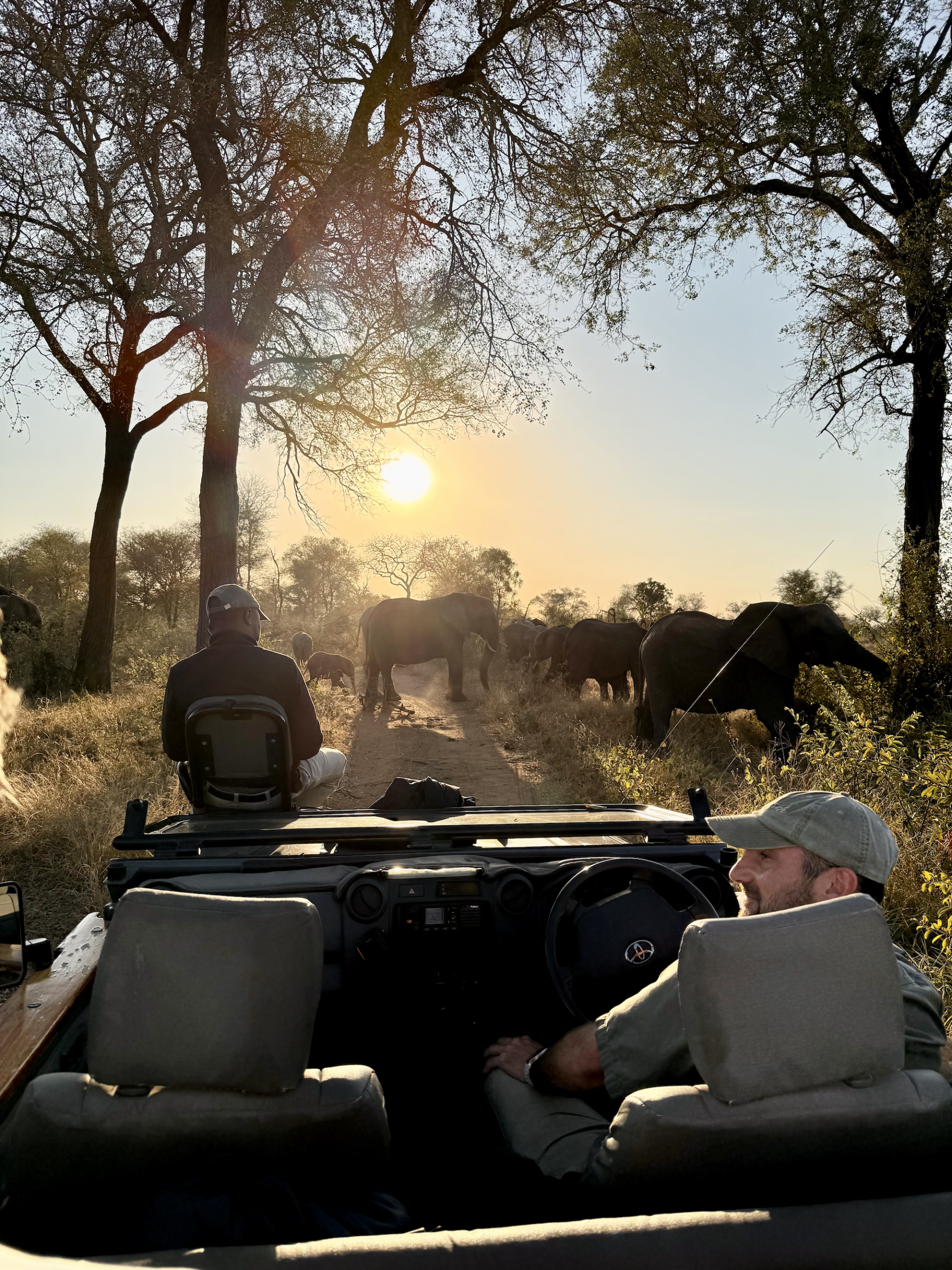 Game drive at Simbavati Waterside - what to expect on a safari