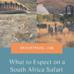 Open safari vehicle at sunrise in South Africa with golden savanna in the background.