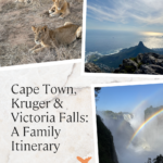 Cape Town, Kruger & Victoria Falls: A Family Itinerary