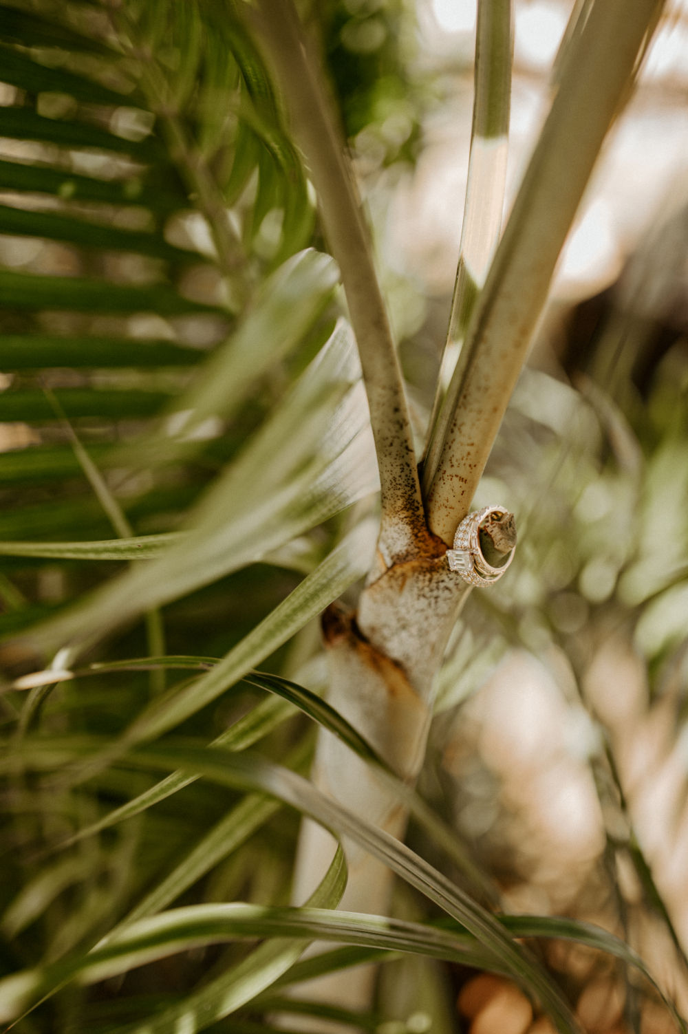 Close-up of wedding ring on tropical plant, highlighting destination wedding cost details and beach setting