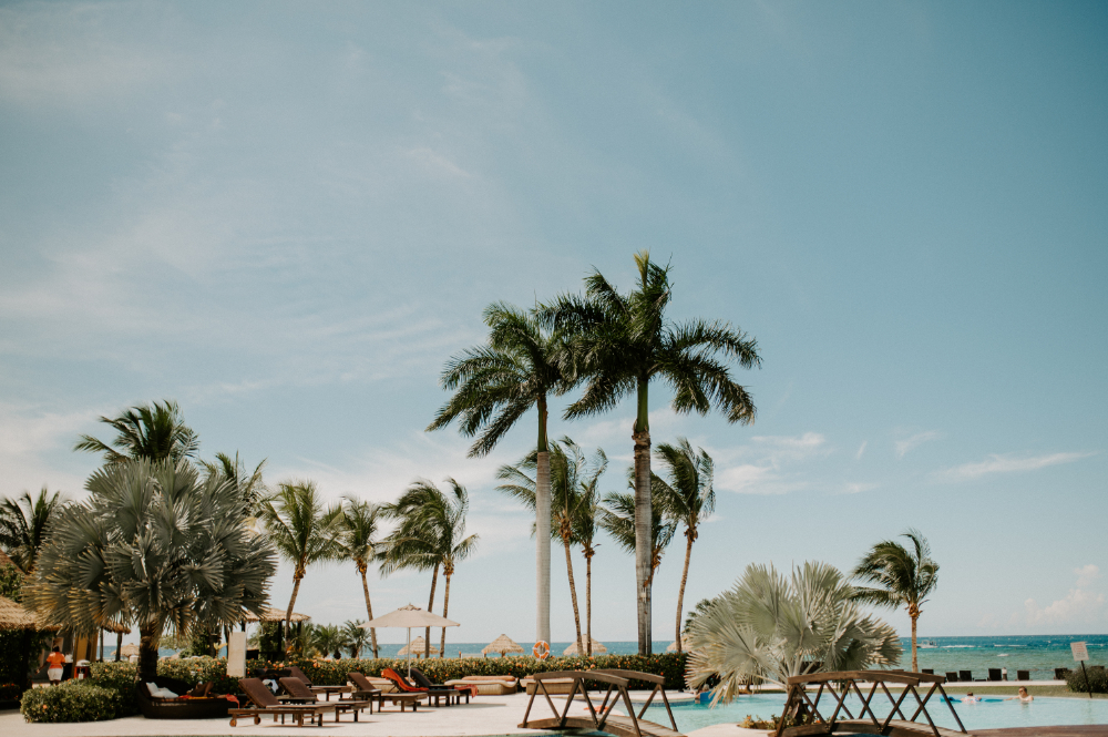 Tropical beach resort with palm trees, pool, and ocean view set up for a destination wedding venue