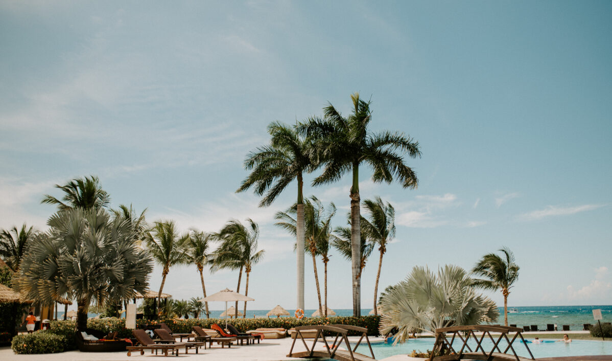 Tropical beach resort with tall palm trees swaying beside a pool, lounge chairs under umbrellas, and turquoise ocean in the background beneath a clear blue sky, creating a calm, sunny vacation scene.