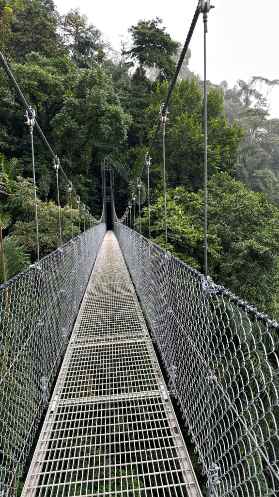 Suspension bridge stretching through the rainforest canopy, a popular attraction when deciding where to go in Costa Rica.