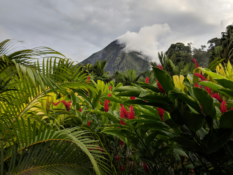 Lush tropical plants and colorful flowers with Arenal Volcano rising in the background.